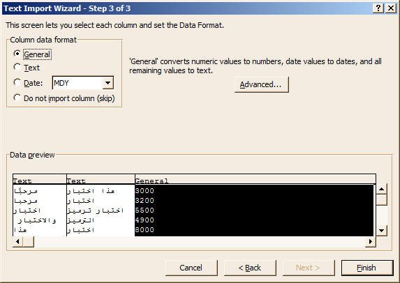 Import data into Excel wizard step 3