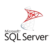 MS SQL Server logo